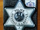 THE POLICE Message in a Bottle - Rare '80 US Orig. Shape Picture Limited NM