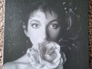 Kate Bush - Remastered in Vinyl II - 3 LP Box Set