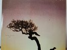 U2  # Native son #  DOPPIO VINILE LP COME NUOVO + insert