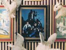 The Damned White Rabbit 1980 - 7