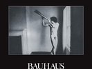 BAUHAUS IN THE FLAT FIELD NEW LP