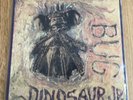 Dinosaur jr lp vinyl BUG sst records 1988 j mascis Witch rare