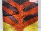 Yeah Yeah Yeahs Show Me Your Bones LP 2006