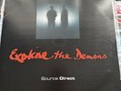 Source Direct - Exorcise The Demons LP 3 X 12” Album Rare Drum & Bass Record