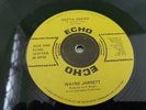 12- ECHO-12-011AA-Wayne Jarrett-Mikey Jarrett – Satta Dread-Sadat-mp3