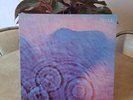 Pink Floyd Meddle LP Vinyl Record SMAS 832