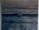 Copeland IXORA Vinyl LP 180g Record SEALED Mint