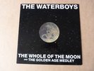 THE WATERBOYS-THE WHOLE OF THE MOON 1991 12