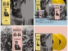 Liam Gallagher - SIGNED Print Live At Knebworth 22 Yellow Vinyl Oasis Preorder