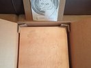 Alkaline Trio Past Live UNPLAYED MINT GOLD VINYL 8LP WOODEN BOX 500 COPIES ONLY