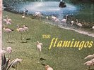 DOOWOP LP FLAMINGOS CHECKER # (TWELVE (12) TRACKS)