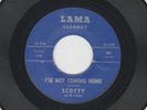 GARAGE 45 -  SCOTTY AND THE TISSUES -  JUST GOOD A SHOW-   HEAR - 1966 LAMA
