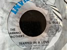 NORTHERN SOUL Barrino Brothers ' Trapped in a love' US