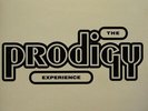 The Prodigy Experience (2 Lp's) Records & LPs New