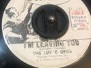 The Luv'd Ones - I'm Leaving You / Walkin' The Dog RARE GARAGE PROMO 1966 7