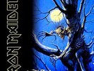 Iron Maiden Fear Of The Dark Records & LPs New