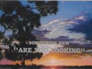 THE SOMETHING NEW ARE YOU LOOKING CENTURY RECORDS PSYCH FOLK XIAN LP ARCHIVIST