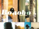 BONOBO ANIMAL MAGIC [LP] NEW LP