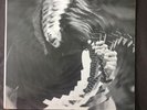Groundhogs Split Vinyl Record
