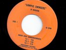 45 RADIO SPOTS 
