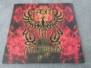 Ash Meltdown Album Coloured Vinyl,Indie Rock