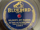 GID TANNER AND HIS SKILLET LICKERS Bluebird B-5658 78rpm Flop-Eared Mule COUNTRY