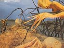 Dixie Dregs Dregs Of The Earth Arista Vinyl LP