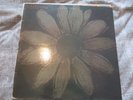 Cardiacs Is This The Life The Alphabet Business Concern ALPH 008T 12inch Single