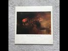Cocteau Twins - Victorialand vinyl LP 4AD CAD 602
