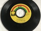 YOUTHS OF TODAY AFRICAN BROTHERS 75 REGGAE ROOTS 7