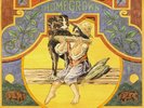 Neil Young - Homegrown. Vinyl 12