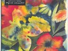 ADRIANNE LENKER - SONGS AND INSTRUMENTALS - 12