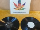 Zion Train – Homegrown Fantasy vinyl 2LP album DUB EX