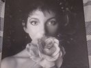 KATE BUSH - REMASTERED IN VINYL 2. BOXSET. 4LP'S.