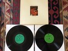 Terry Allen Lubbock (On Everything) 2LP 1979 Fate Records Play Tested Vinyl VG