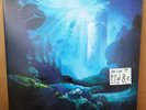 Donald Fagen - Sunken Condos 2LP    Mint- 2012 clear vinyl press