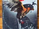 Budgie – In For The Kill - Hard Rock-Prog Rock Vinyl LP - OG
