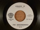 The Groundhogs Shake It/Rock Me Promo RARE Mod, Garage, Freakbeat 1965 Interphon
