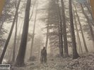 TAYLOR SWIFT - Folklore (2xLP Deluxe Edition 2020 Brown 