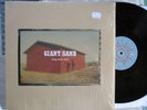 Giant Sand - Long Stem Rant 2 LP auf Fire Records wie neu,noch in Folie