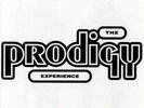 The Prodigy - Experience - Vinyl - Same Day Dispatch