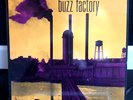 rare ORIG '89 SCREAMING TREES Buzz Factory ALT Psych POST PUNK VINYL LP MINT