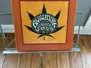 Brant Bjork and the low Desert Punk Band / 