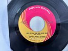 Velvet Underground 45 All Night Workers; Don't Put All Your Eggs In One Basket
