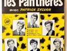 Les Pantheres Avec Patrick Sylvan 