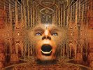 Meshuggah - Nothing NEW Vinyl