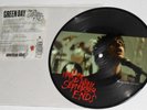 GREEN  DAY        ----   wake me up when september ends    ----  picture disc