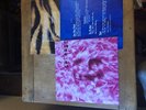 LP VINYL GARBAGE SELF TITLED ALBUM CAT L31450 UK 1ST PRESS 1995 EX/EX SUPERB