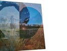 Neil Young * Dreamin' Man Live '92 * VERY RARE *  LP   Vinyl