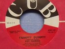 Ray Fleming - Humpty Dumpty - 1963 NM Soul 45 on CUB